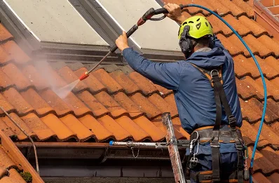 Démoussage et hydrofuge de toiture à Malène